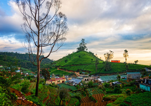 Nuwara Eliya sri lanka