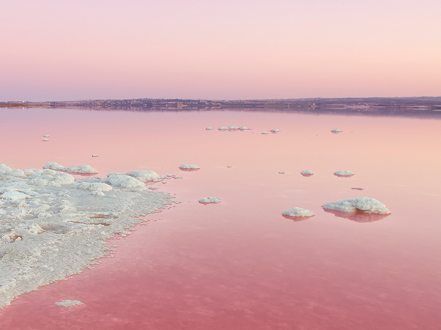 Salinas de Torrevieja pink lake