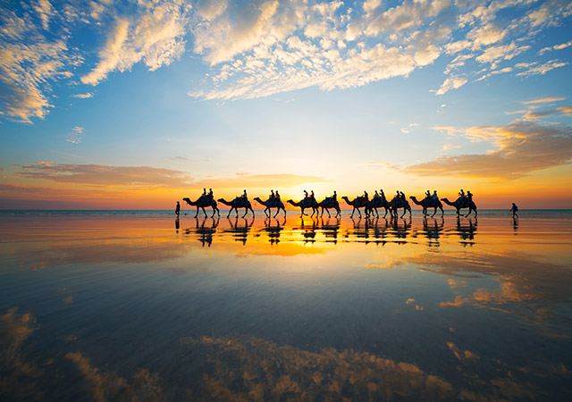 cable beach camel ride