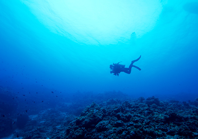 diving layang layang island malaysia