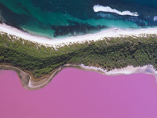 Lake Hillier: The Story Behind Australia's Pink Lake