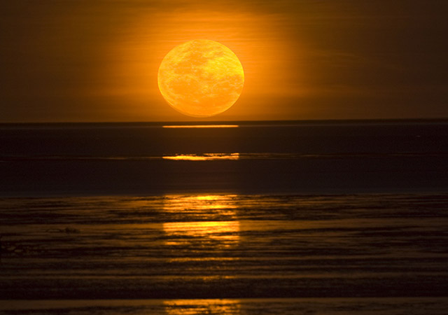 staircase to the moon western australia