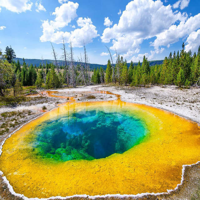 yellowstone national park morning glory pool