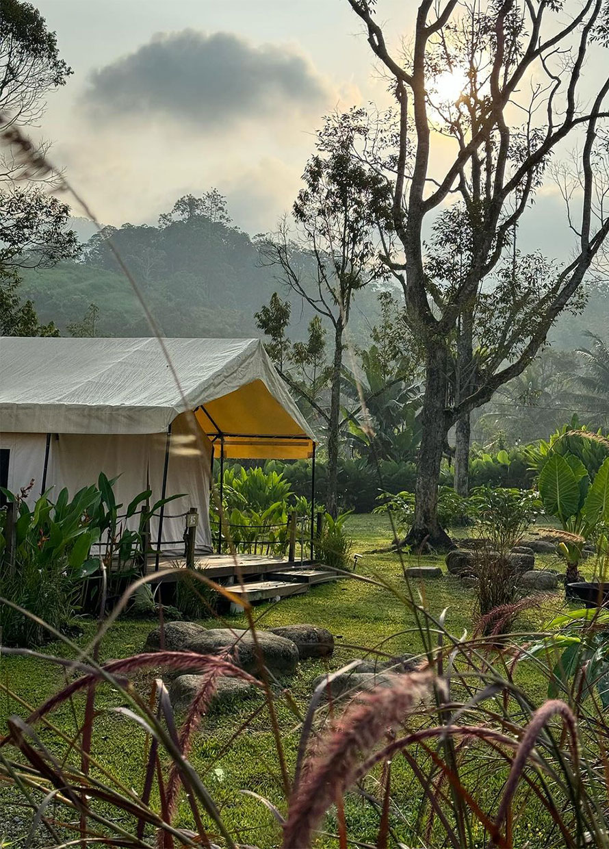 The top glamping spots in Malaysia to visit for your next retreat