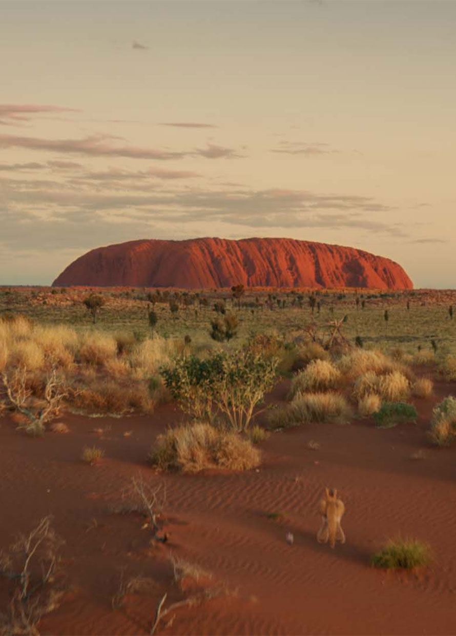 Watch: Tourism Australia’s new short film invites you to come and say G’day