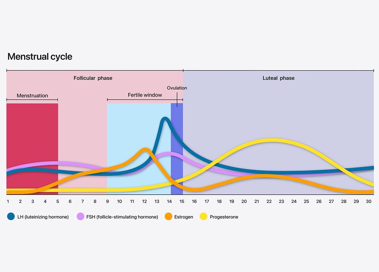 Do you know your flow?🩸 Tracking your menstrual cycles can help you  understand what's normal for you, time ovulation and identify important  changes —