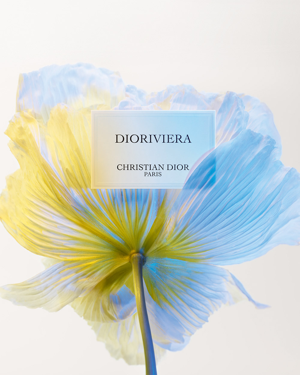Dior Dioriviera: Francis Kurkdjian's First Dior Fragrance