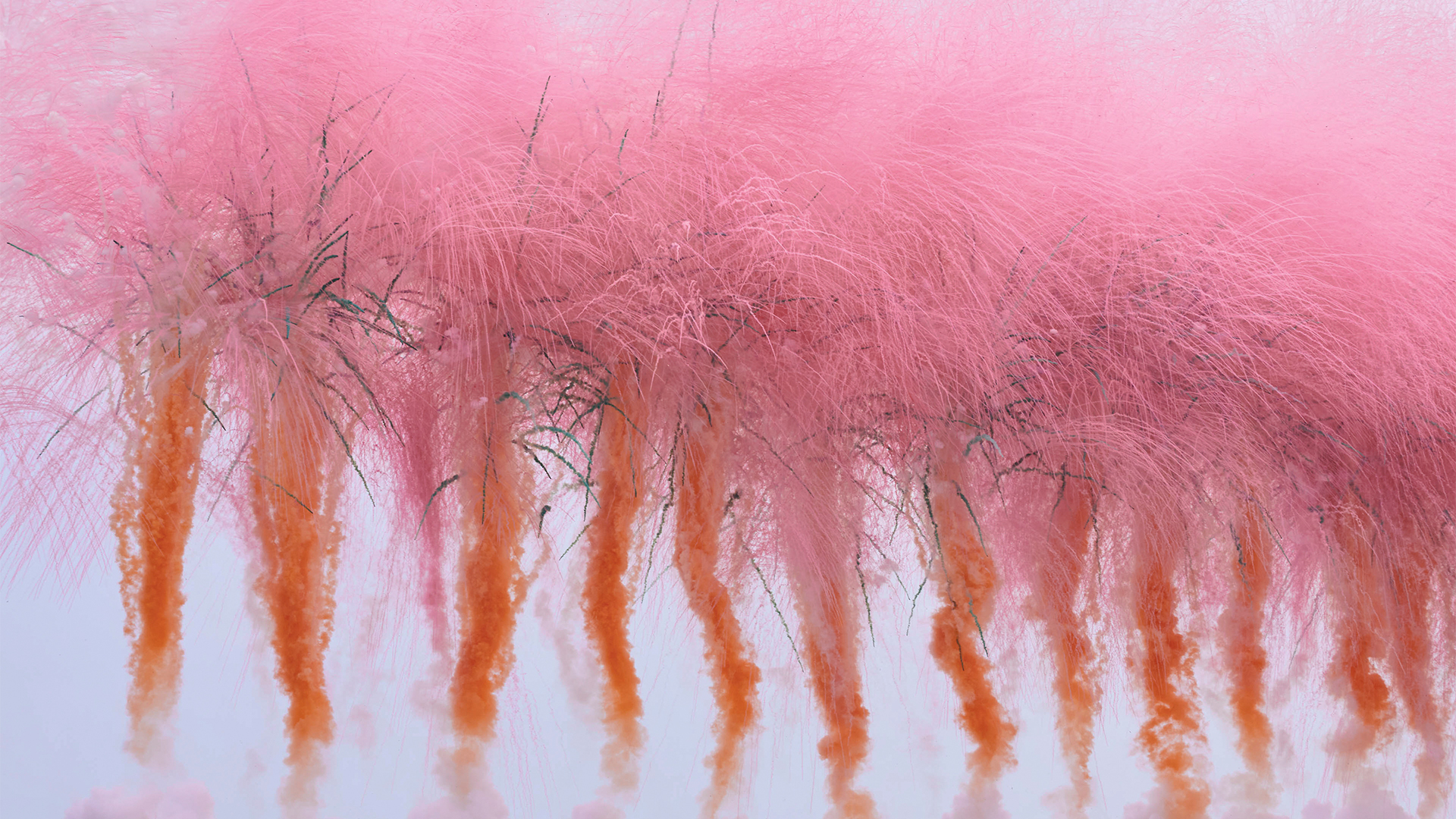 BURO Spotlights: ‘When the Sky Blooms with Sakura’ by Cai Guo-Qiang, commissioned by Saint Laurent