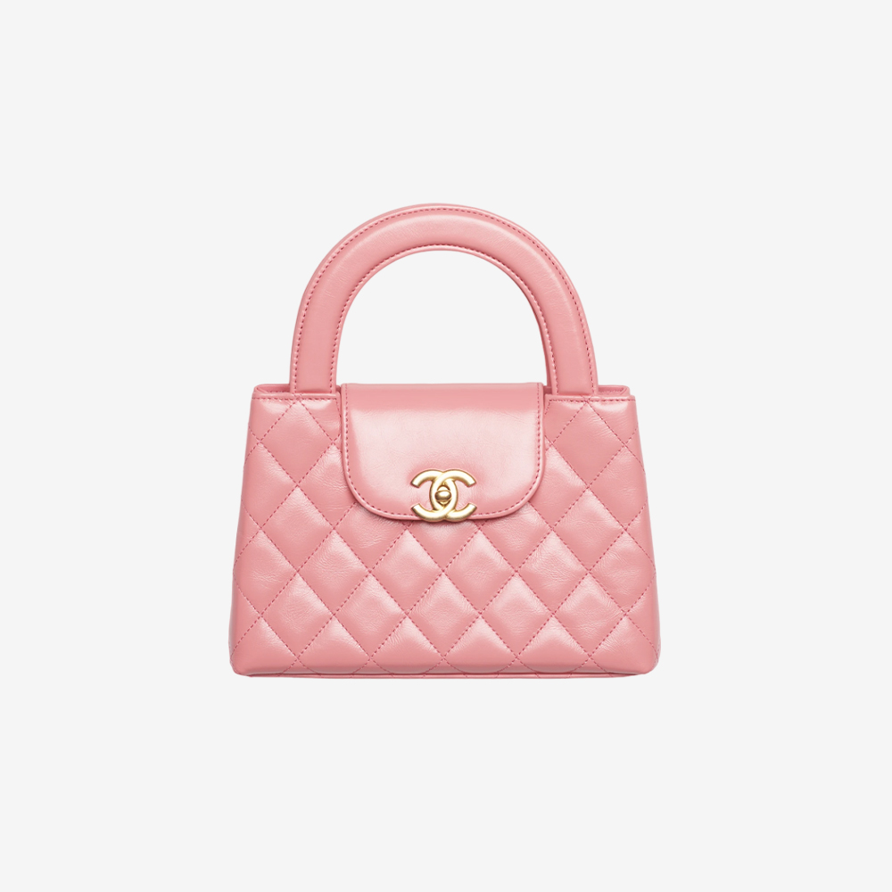 Delvaux Louise Hobo MM Allure - Pink Shoulder Bags, Handbags