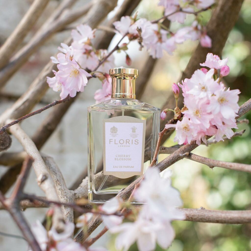 buro malaysia cherry blossom fragrance