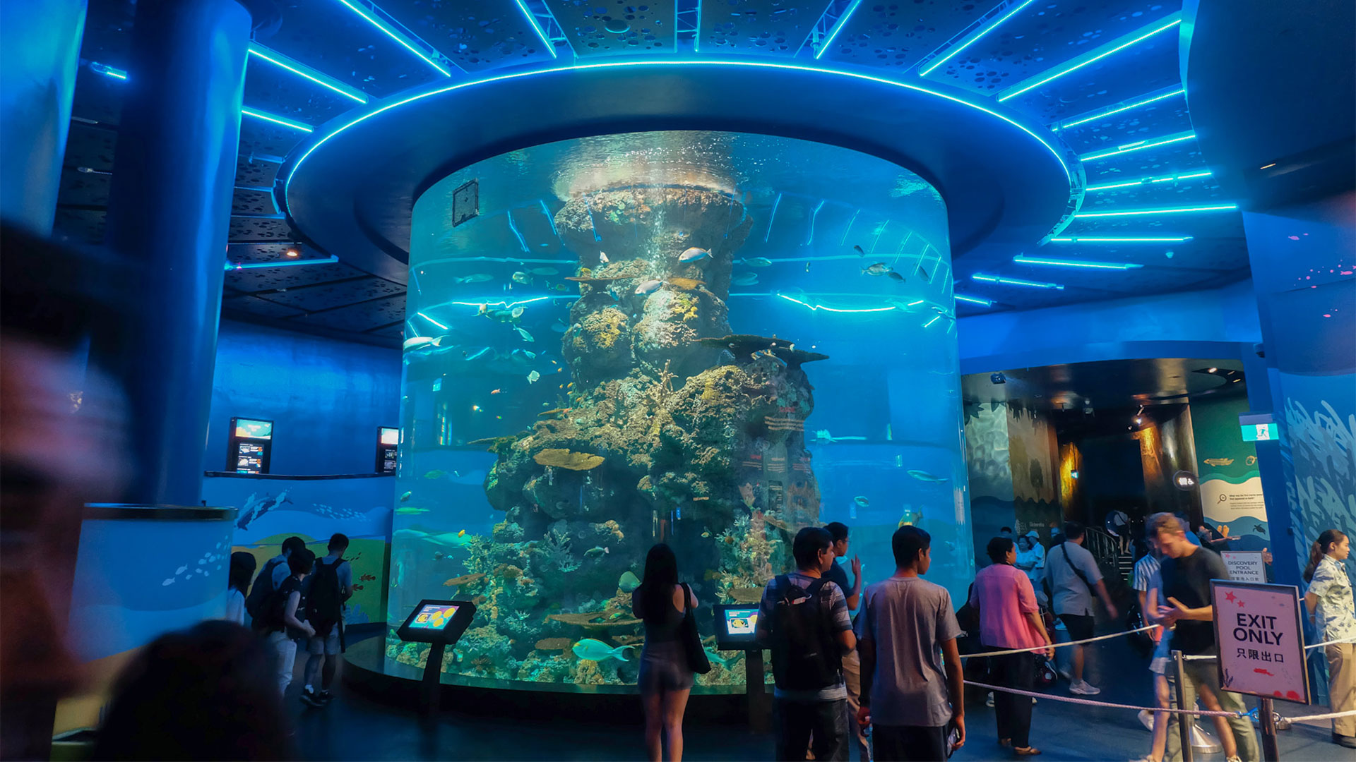 3D2N in Resorts World Sentosa: A curated itinerary for an adventure-filled trip