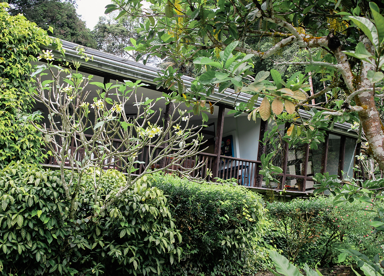 Planning a staycation? This Airbnb forest villa is only 1 hour from KL