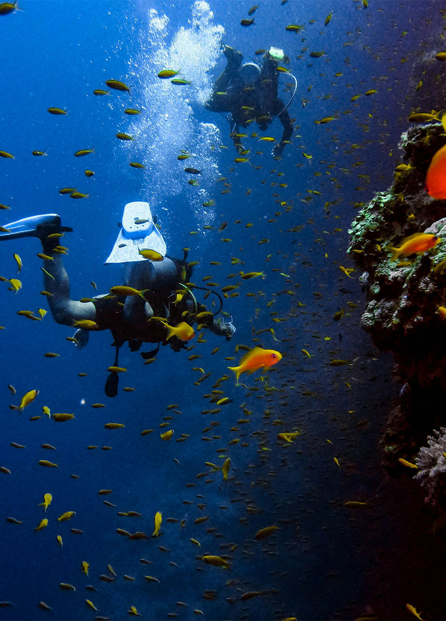 A starter guide to diving destinations in Southeast Asia for your next underwater adventure