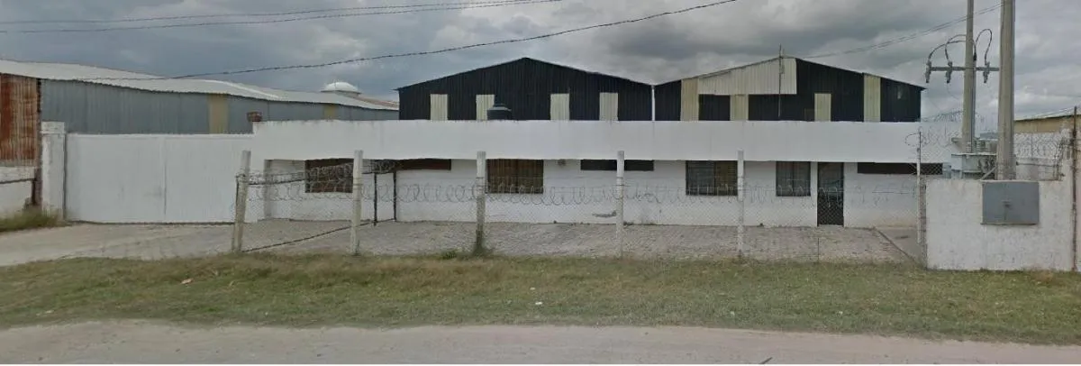Miniatura 7
