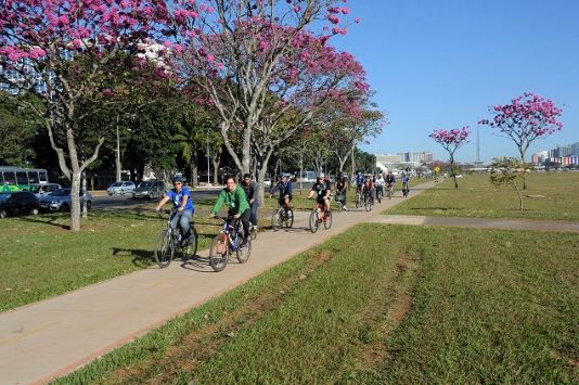 Uma dica de quem pedala é ficar atento ao tipo de ônibus. Foto: Jefferson Rudy/Agência Senado