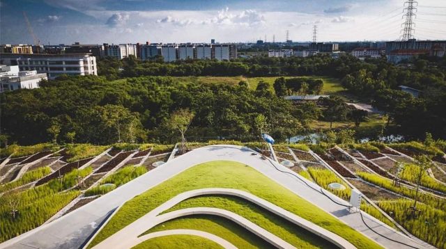 Střešní zahrada má sloužit studentům univerzity Thammasat v Bangkoku