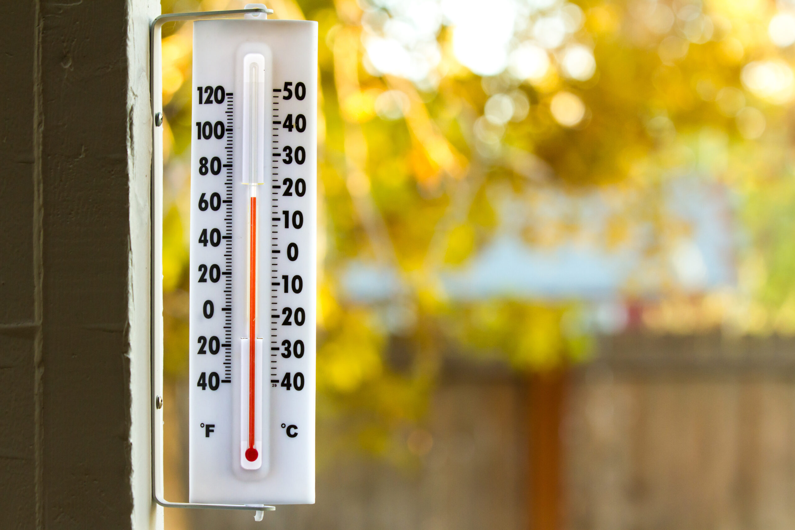 Осенняя температура воздуха. Термометр 15 градусов тепла. Термометр показывает 15 градусов. Градусник уличный картинка. Стильный термометр.