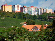 Pohled přes pole na sídliště v Praze