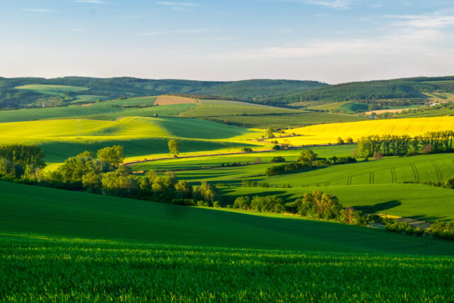 Středoevropská krajina s polemi, Ilustrační fotografie