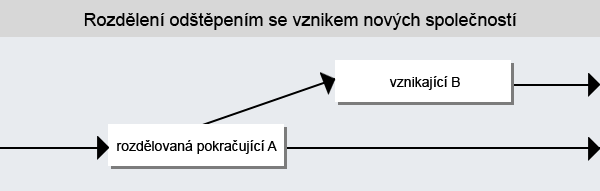 Schéma rozdělení odštepením se vznikem nových společností