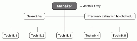 Organizační struktura malého podniku