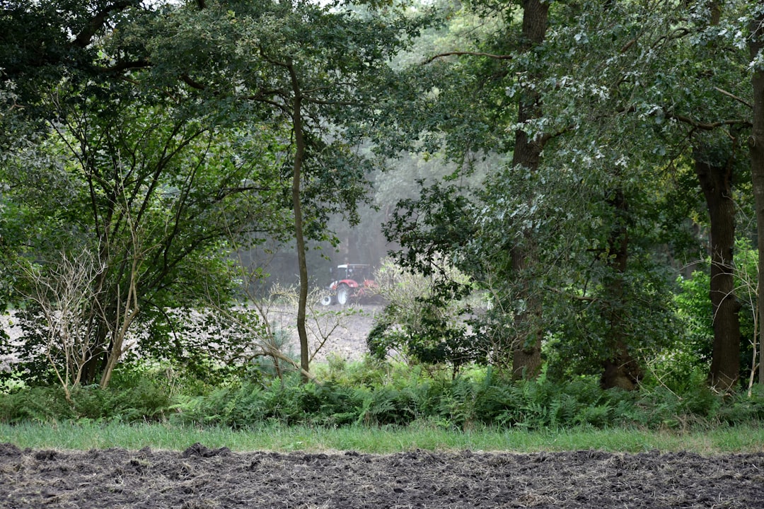 Sell land in Mississippi