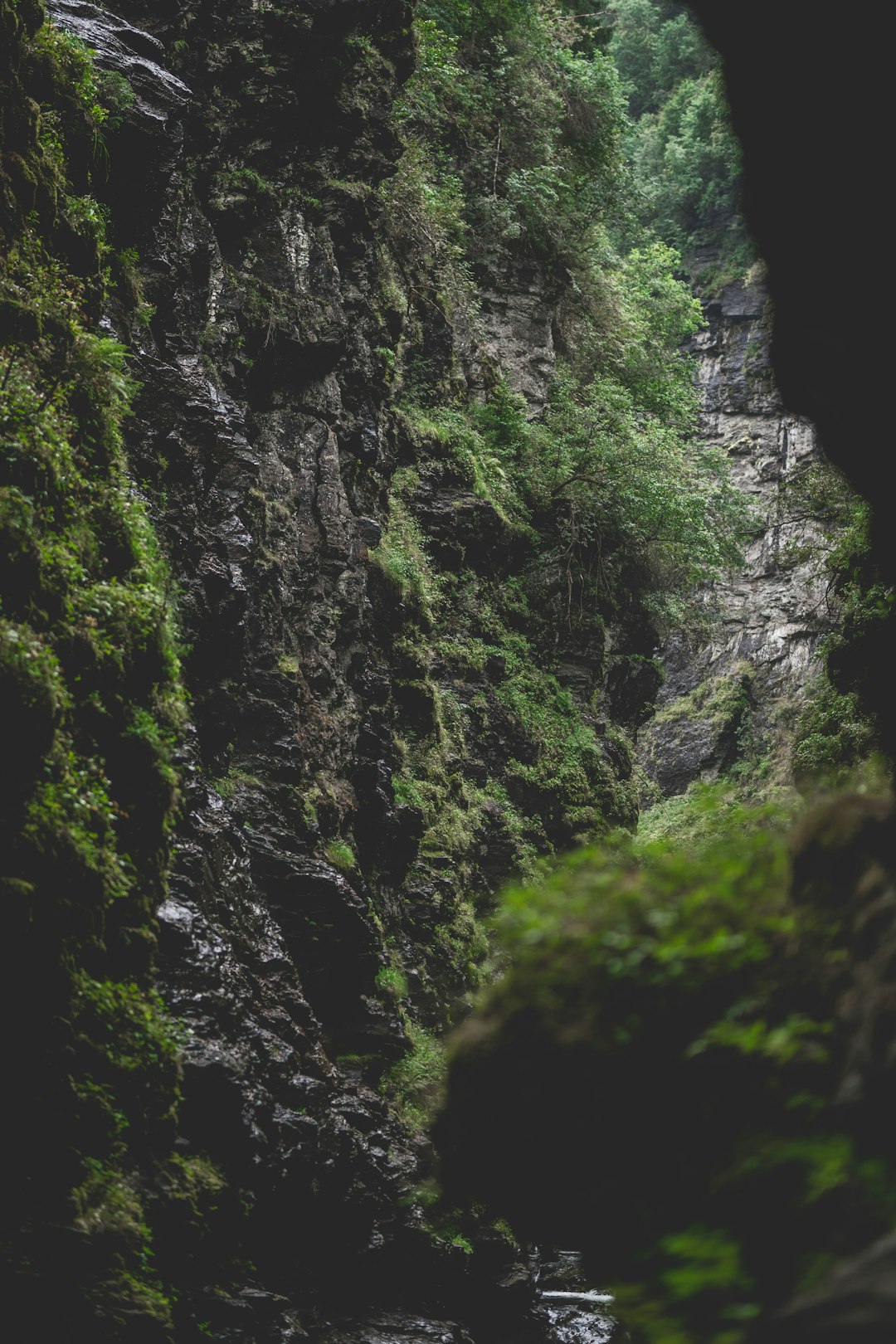 Taking Into Consideration Climate and Natural Catastrophes