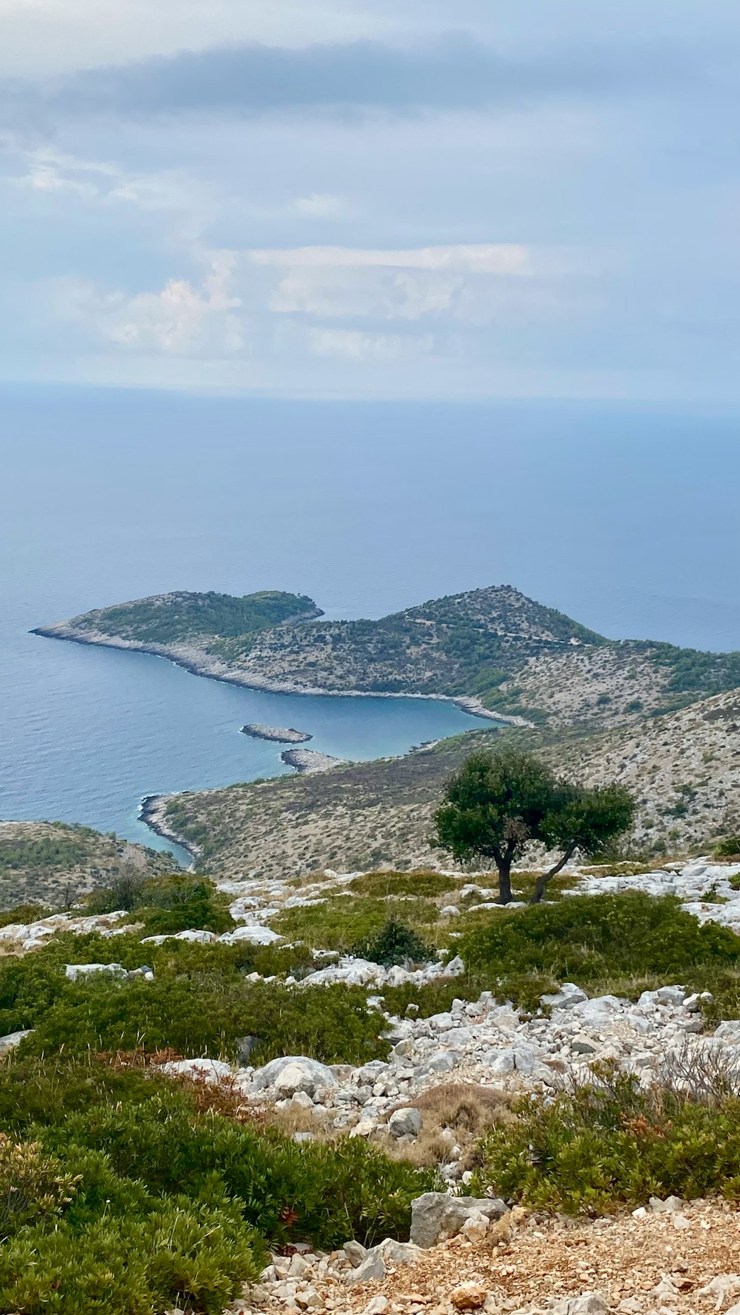 Exploring Tennessee's Regional Amenities