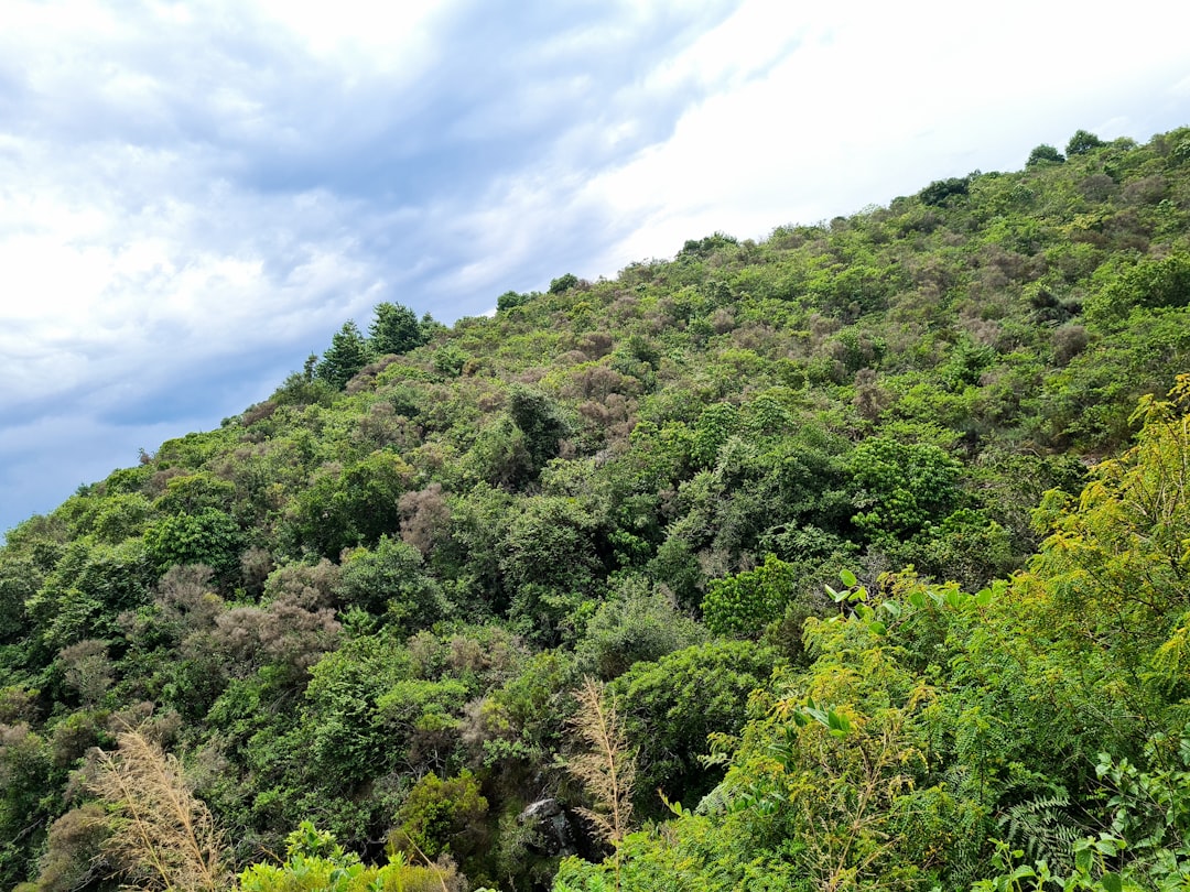 Marketing Techniques