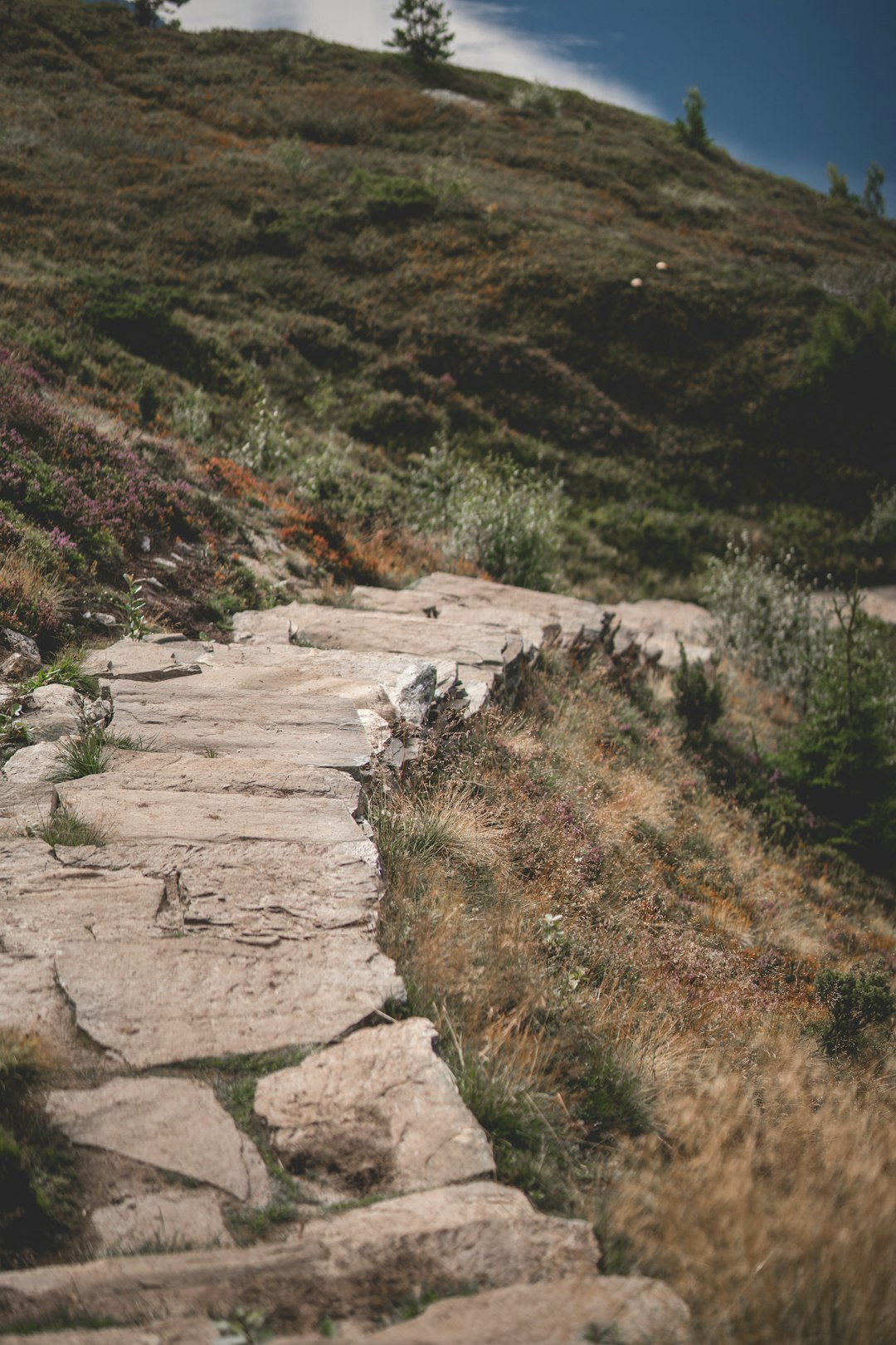 What is the procedure for offering Connecticut land for cash money?