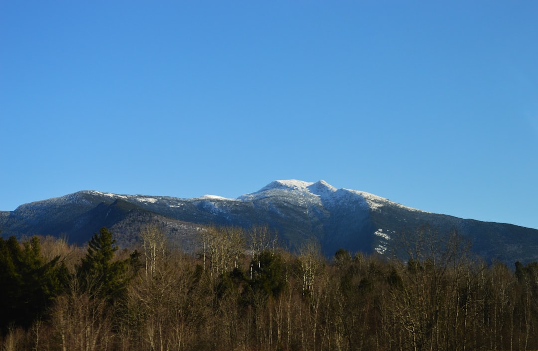 Marketing Your Alabama Property: Tips for Landowners