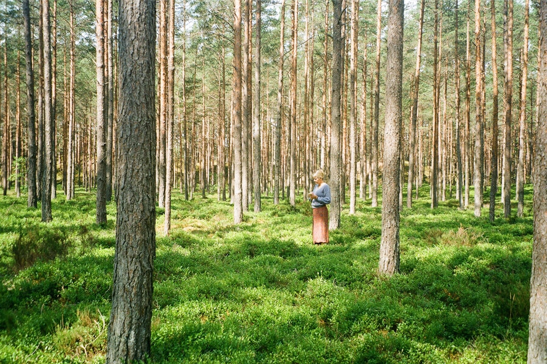 Selling Your Alabama Residential Property: Tips for Landowners