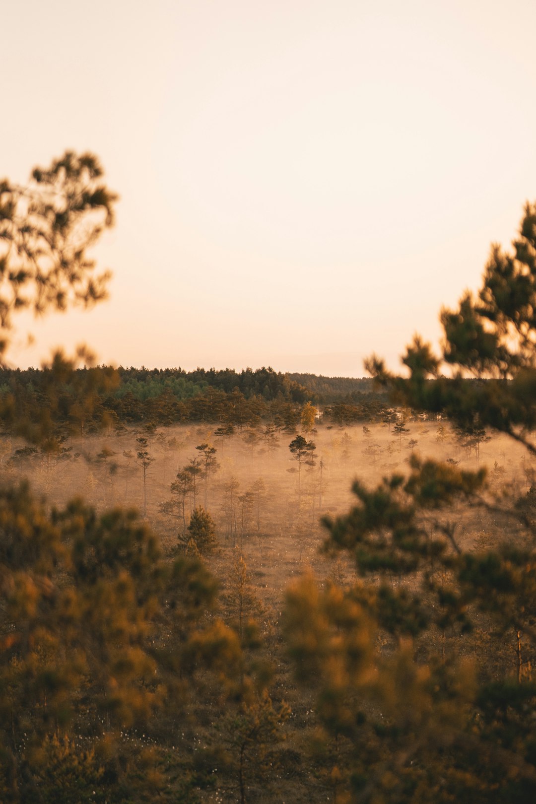 Assessing Land Worth and Potential in Alabama