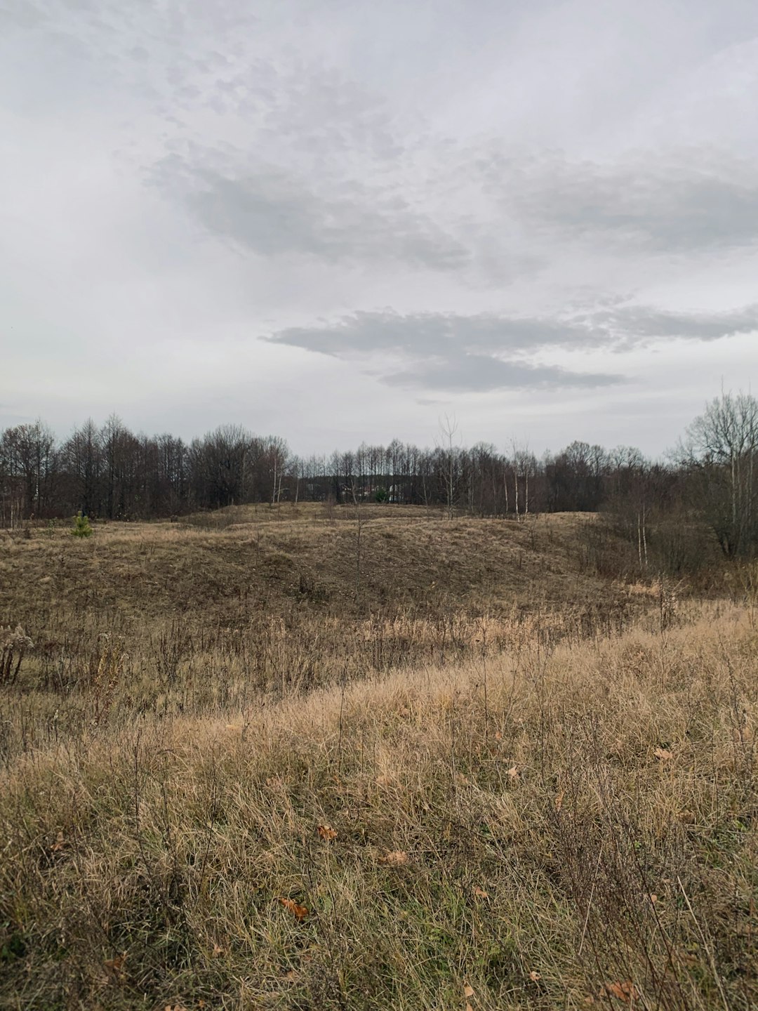 The Duty of Land Studies and Lawful Summaries