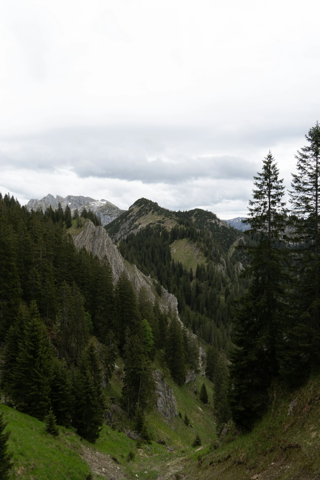 The Function of Land Surveys and Lawful Summaries