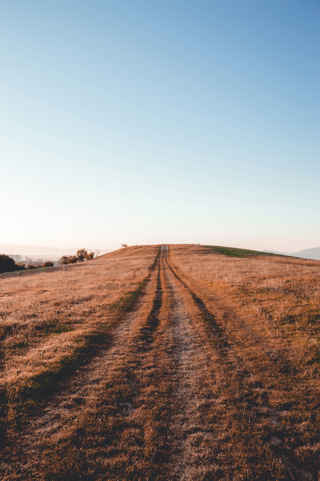 Evaluating Land Worth and Prospective in Alabama