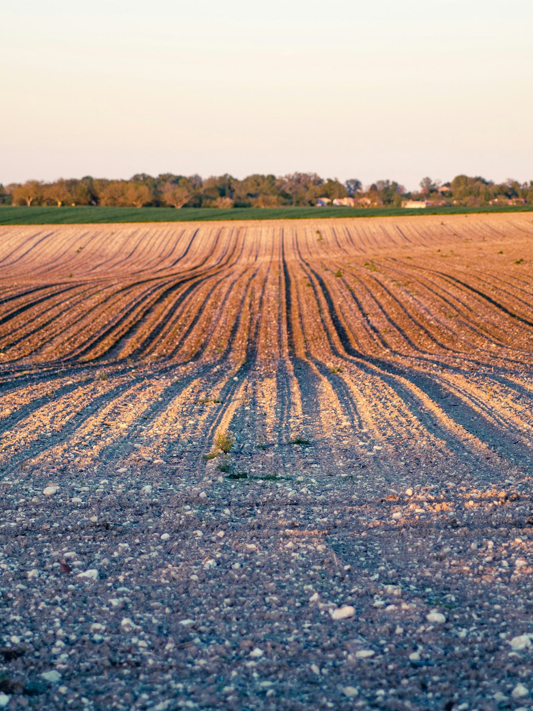 Evaluating Land Worth and Prospective in Alabama