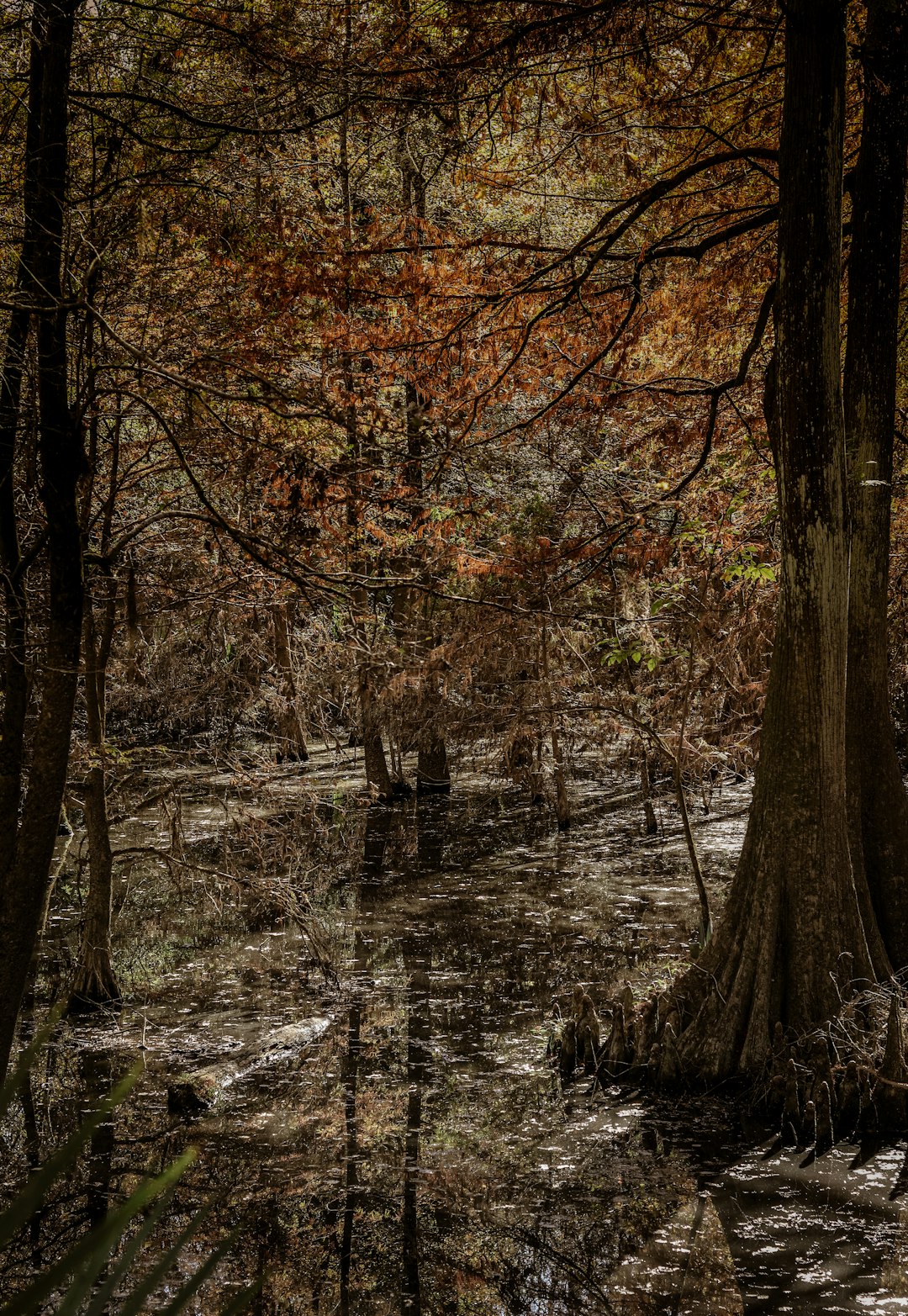 Funding Your Alabama Land Acquisition