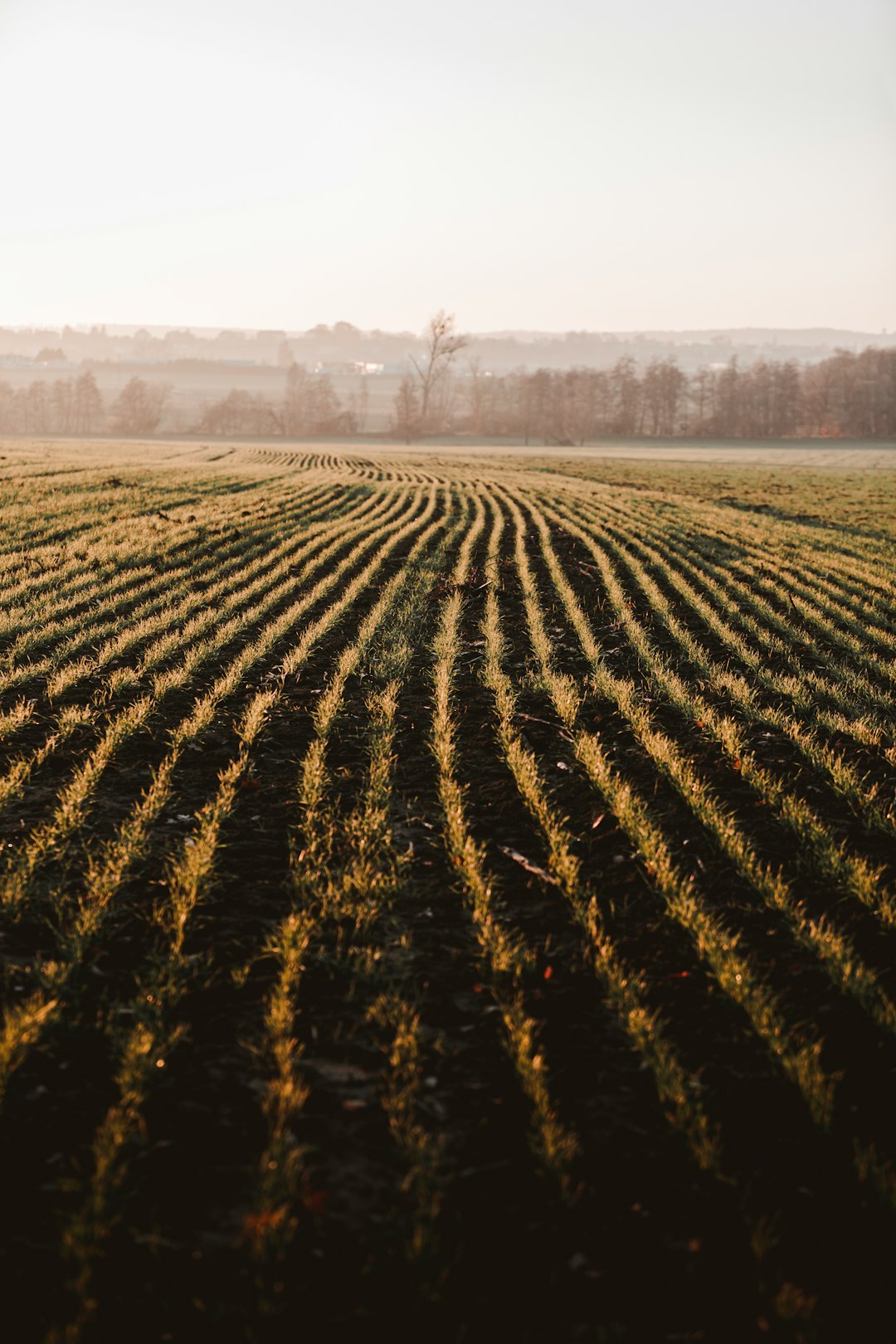 Funding Your Alabama Land Purchase