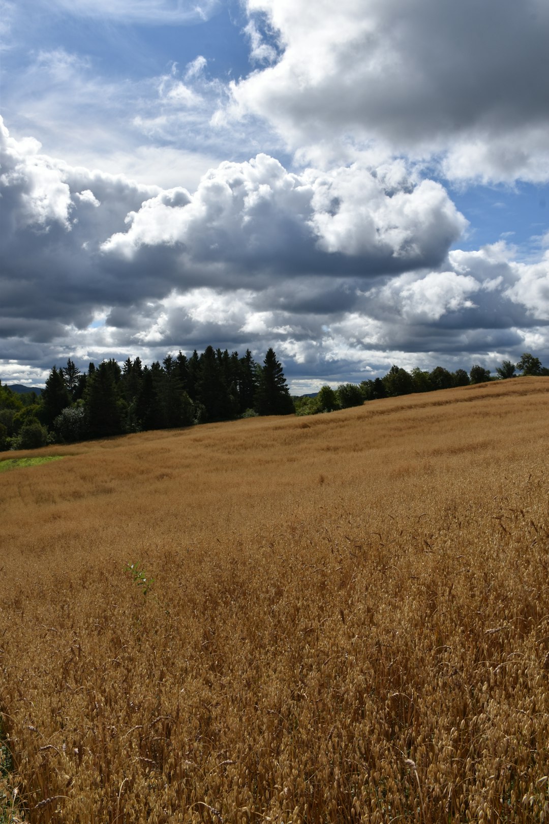 Funding Your Alabama Land Acquisition