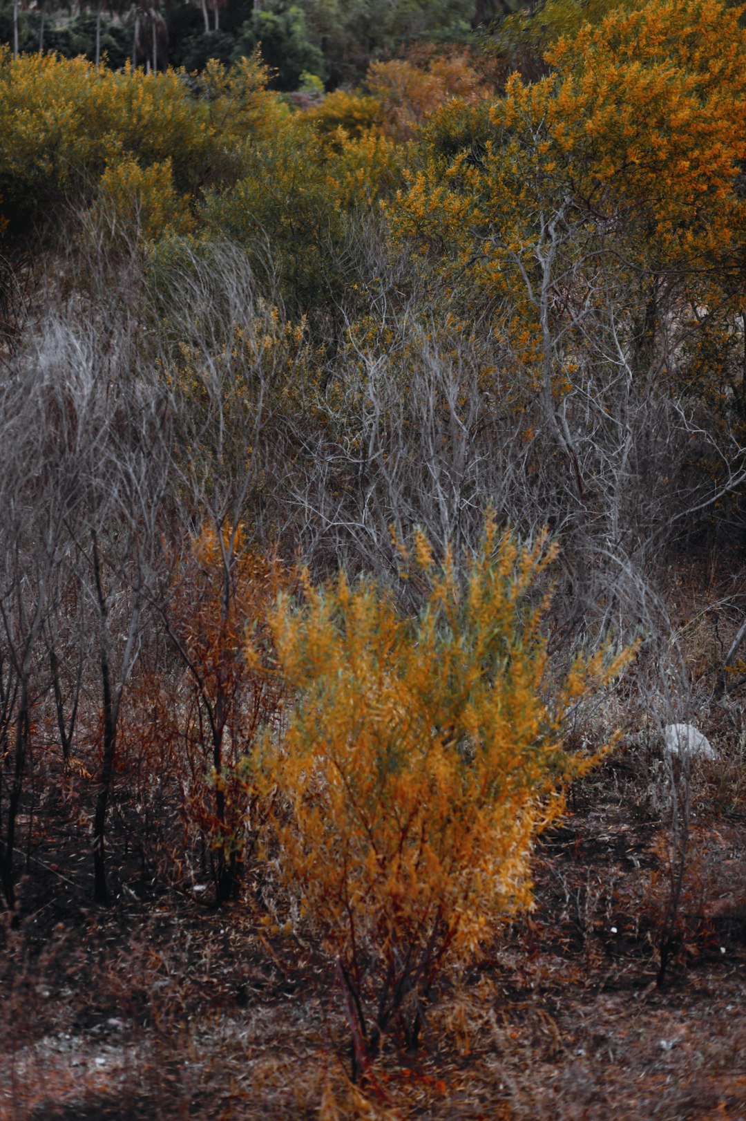 What is the importance of a proper appraisal before selling Delaware land?