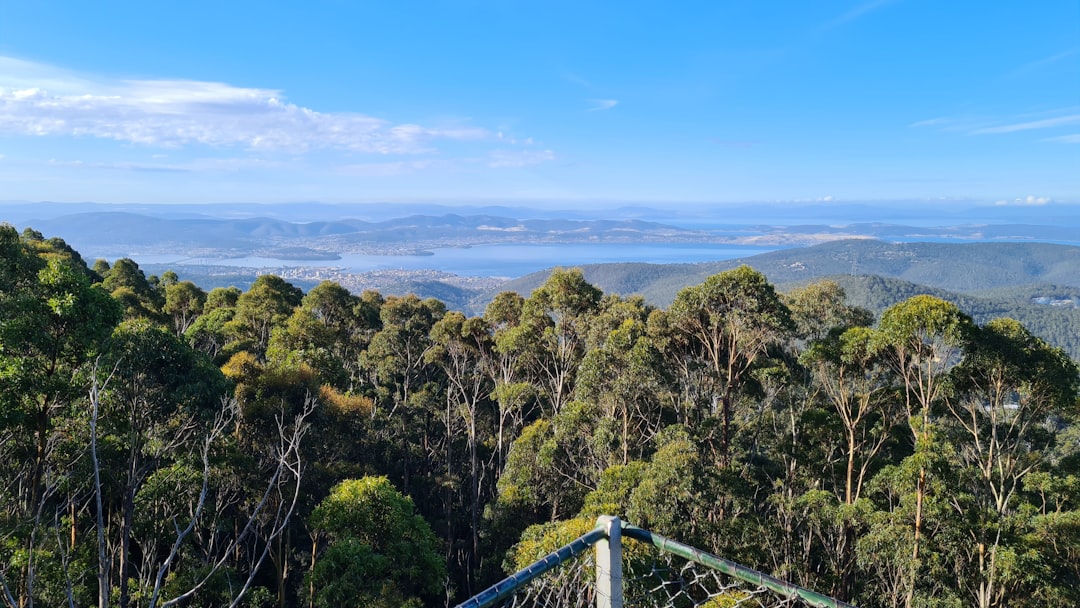 Cash offers for Texas land