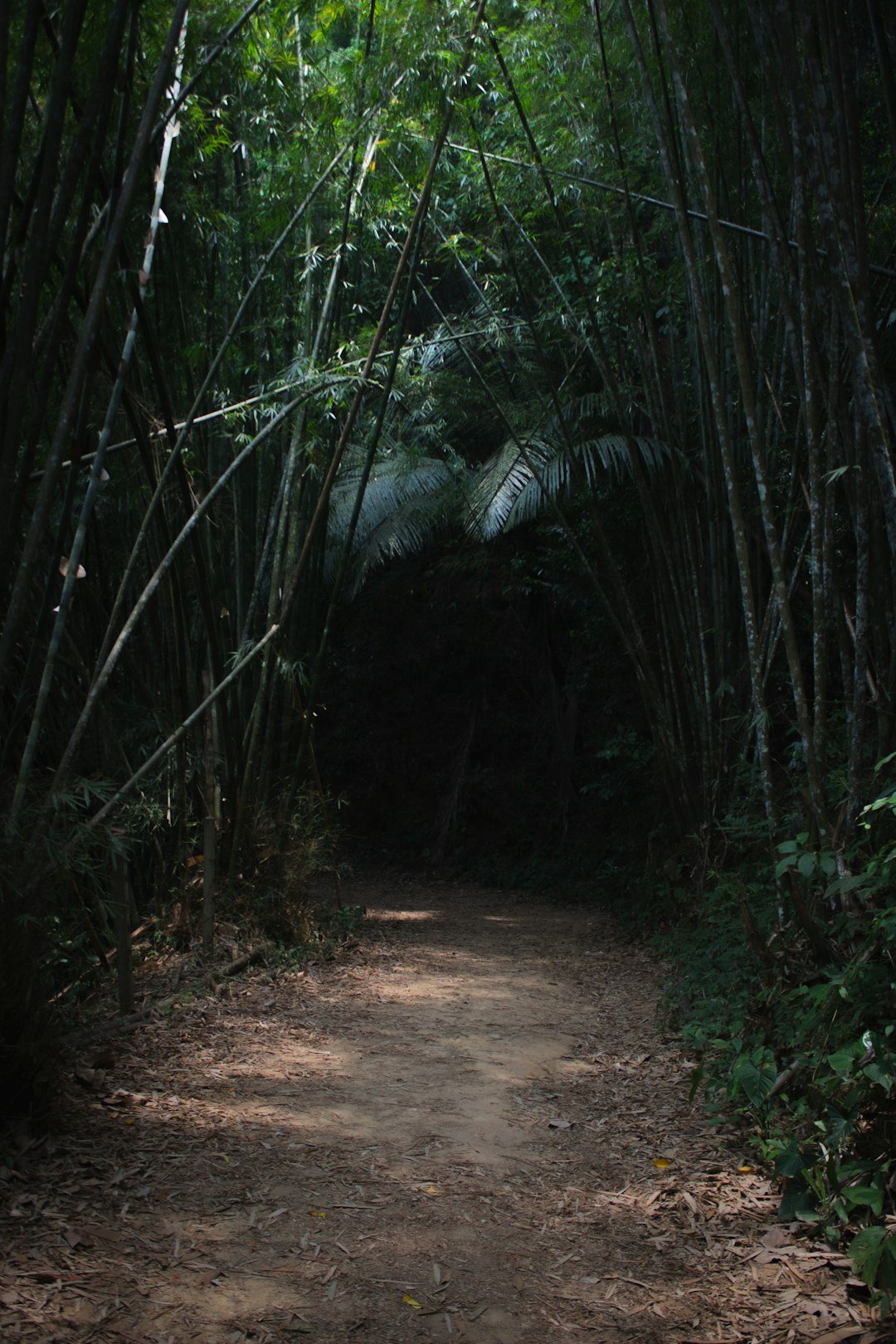 How to Market Mississippi Land for Cash Money: A Step-by-Step Guide