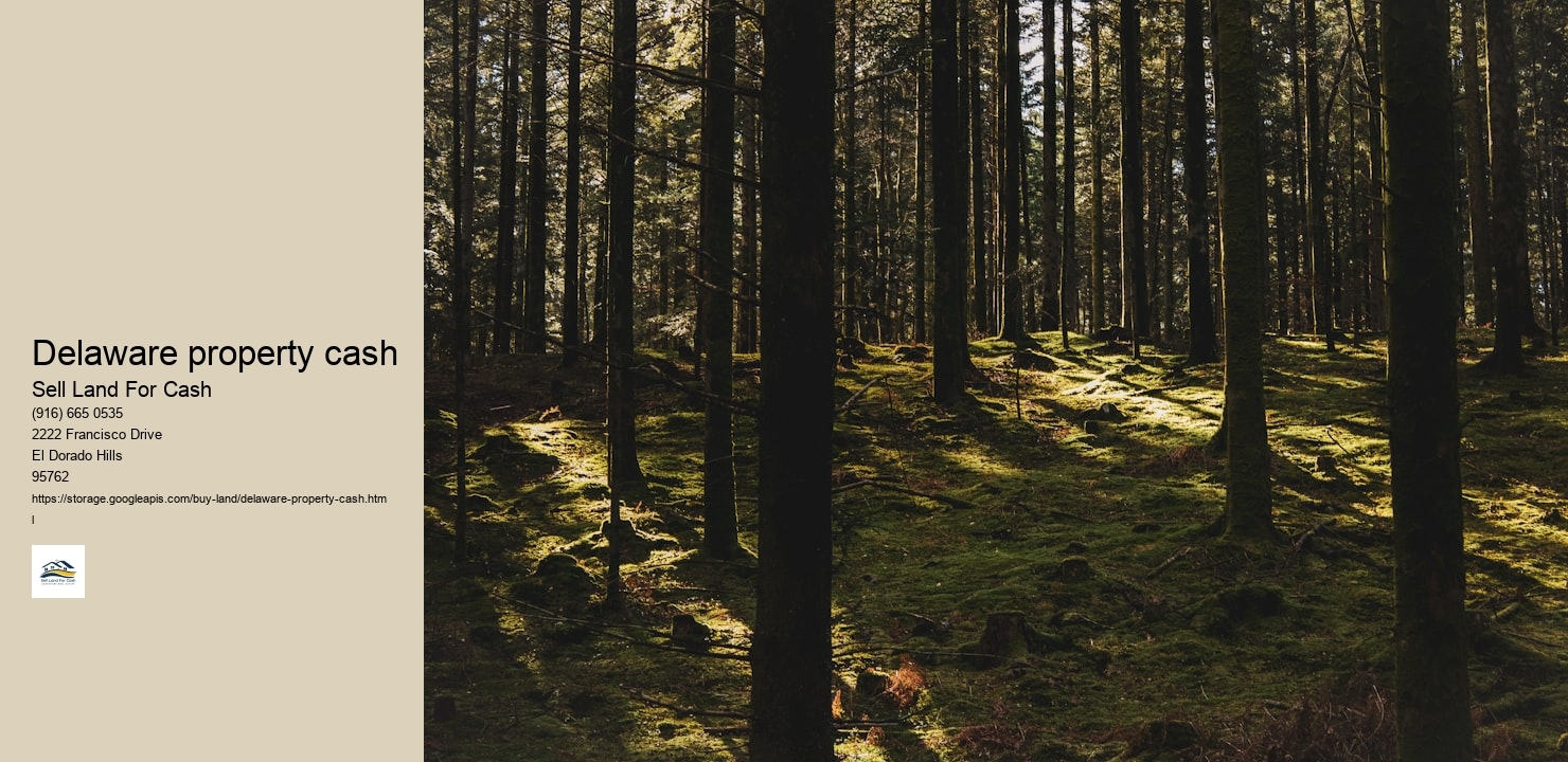 Delaware property cash