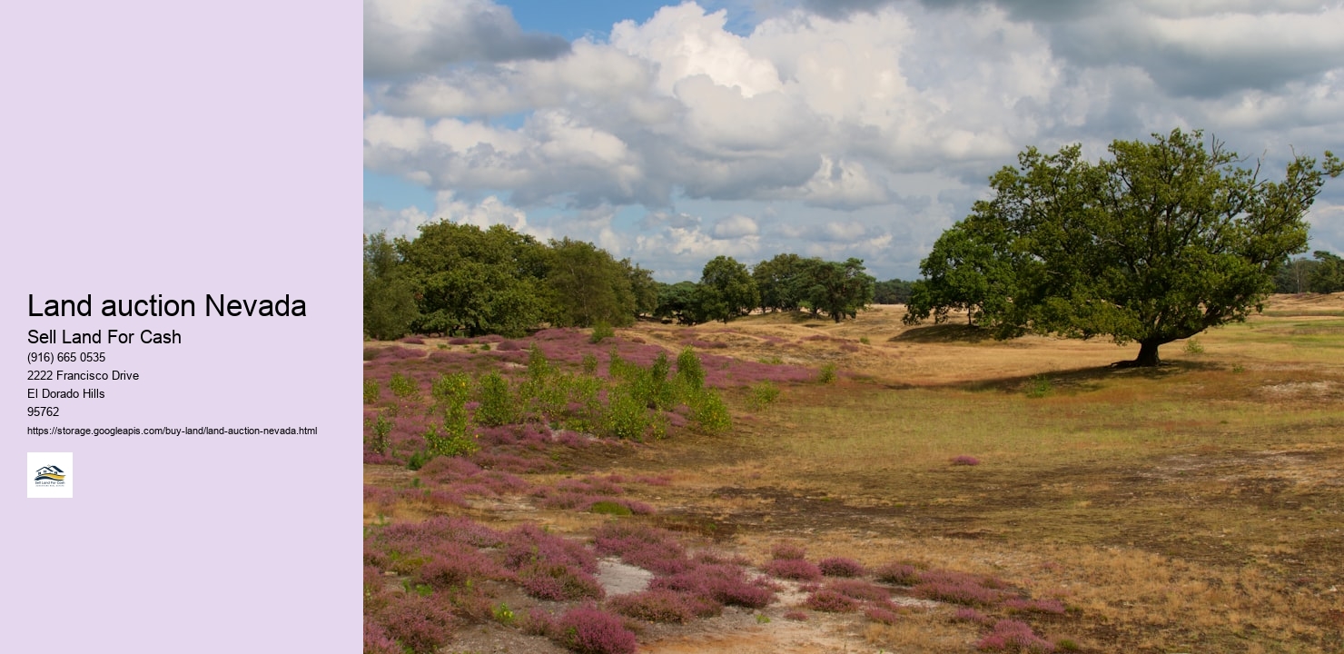 Land auction Nevada