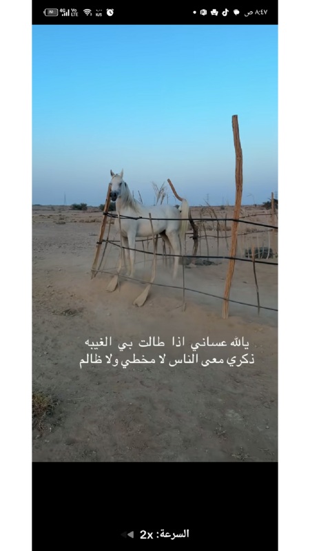 عبدالله الأكلبي