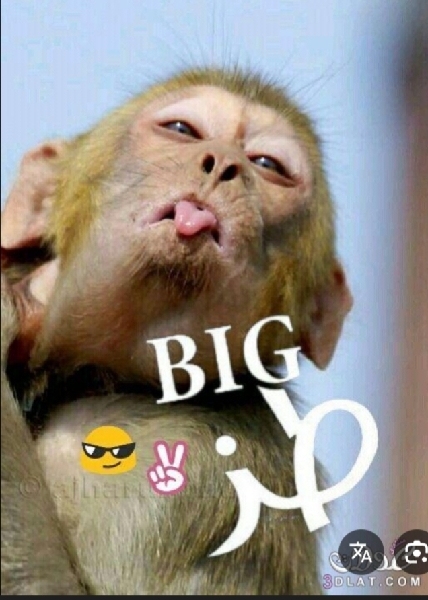 الشامخ🇸🇦النايف❤️