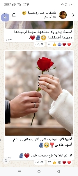 حوده بندق حوده بندق