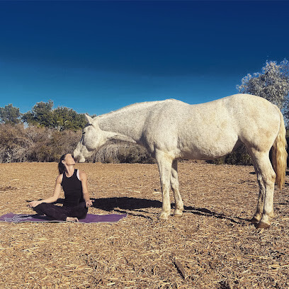 Yoga at the Ranch