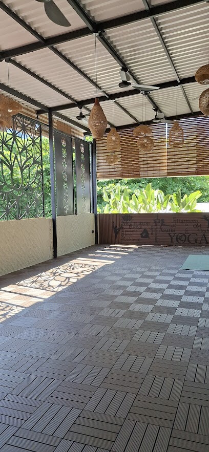 Harmony Yoga & Wellness